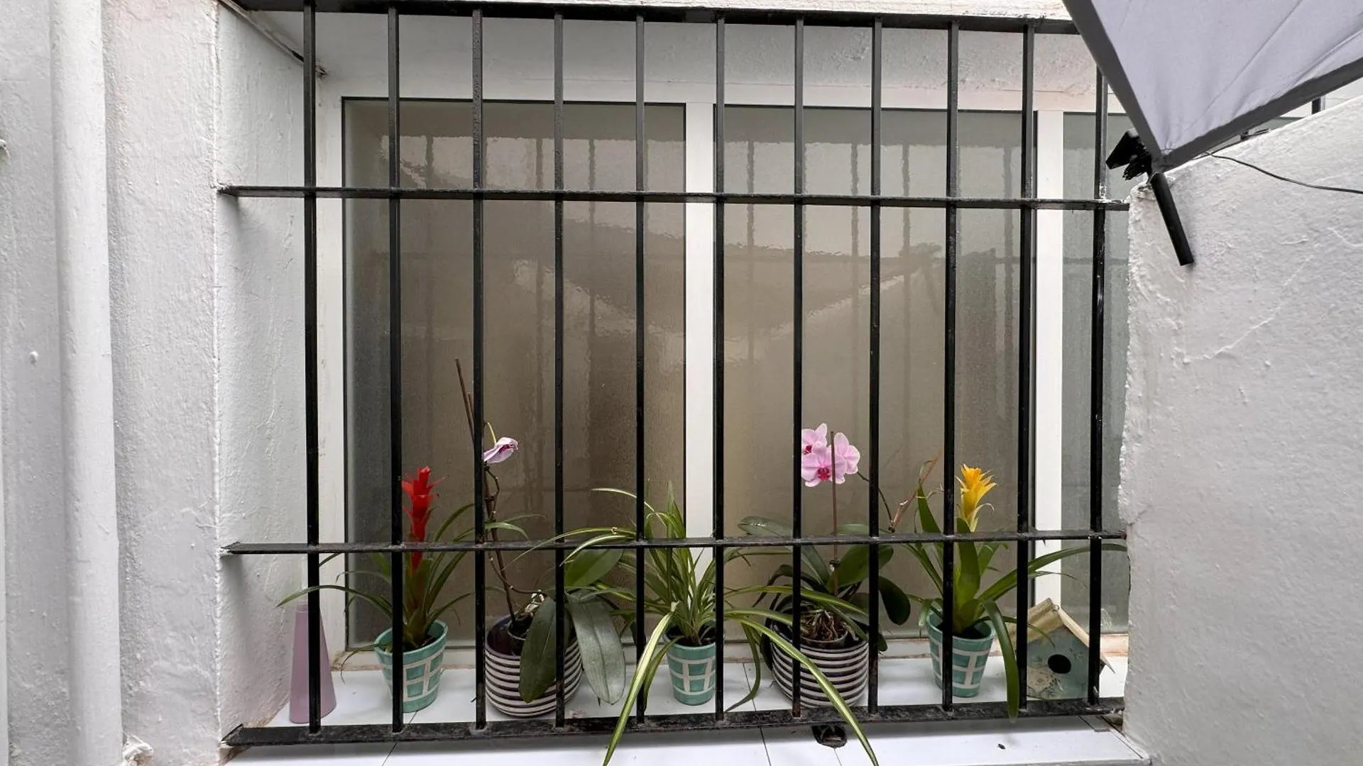 Appartamento Apartamento Amaro Cadiz - Playa Victoria